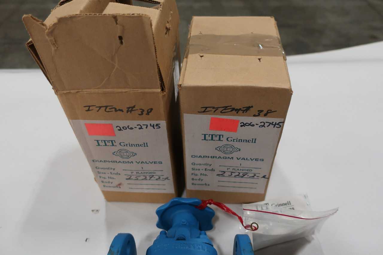 LOT OF 2 ITT GRINNELL 1IN DIAPHRAGM VALVES 2529-2-R - DIAPHRAGM VALVE