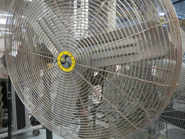 Fan - MISCELLANEOUS