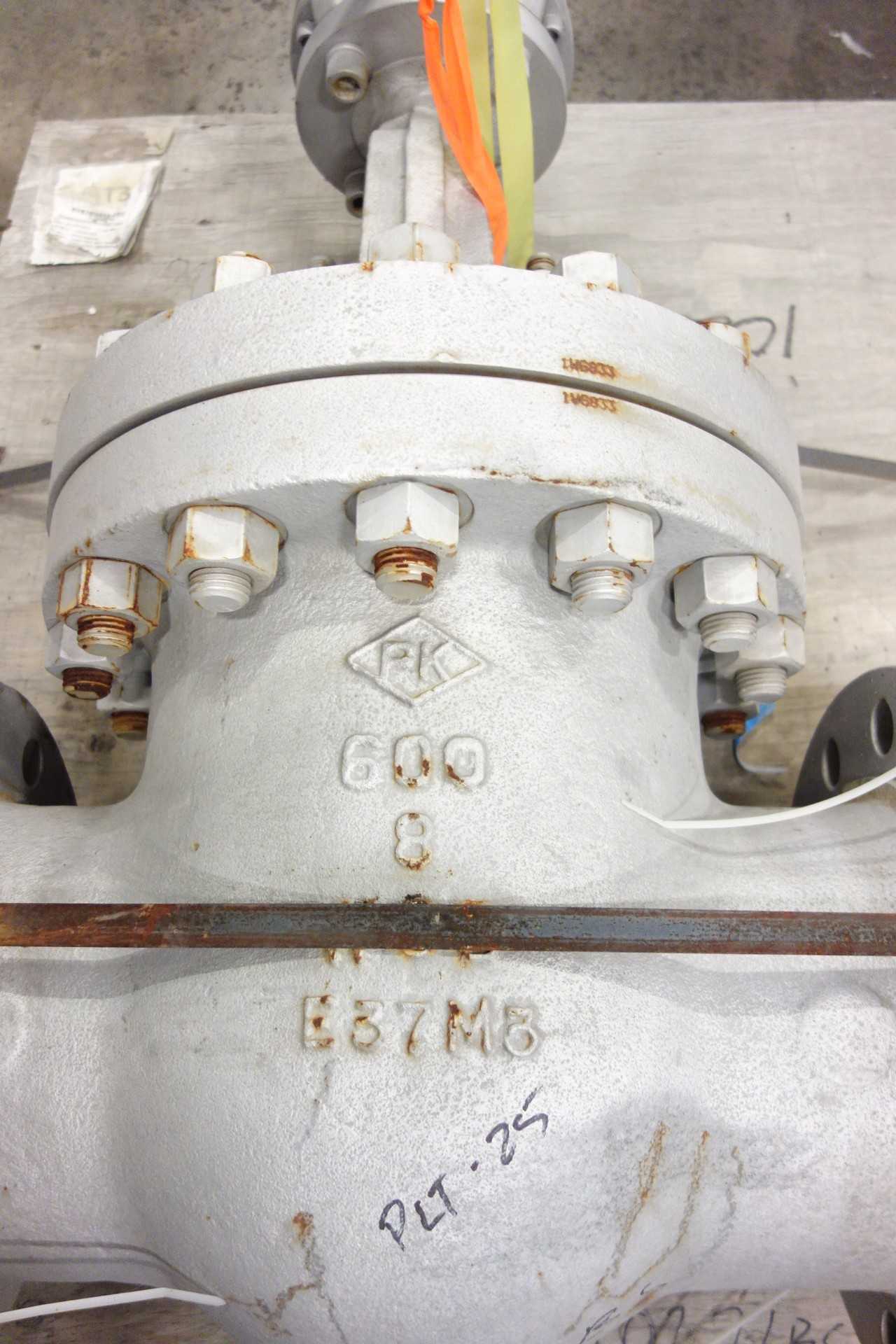 PK VALVE 6" GATE VALVE - VALVES