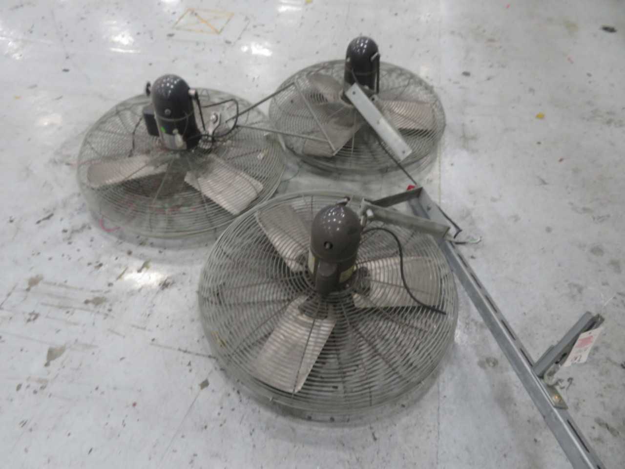 Fans (3) each - MISCELLANEOUS