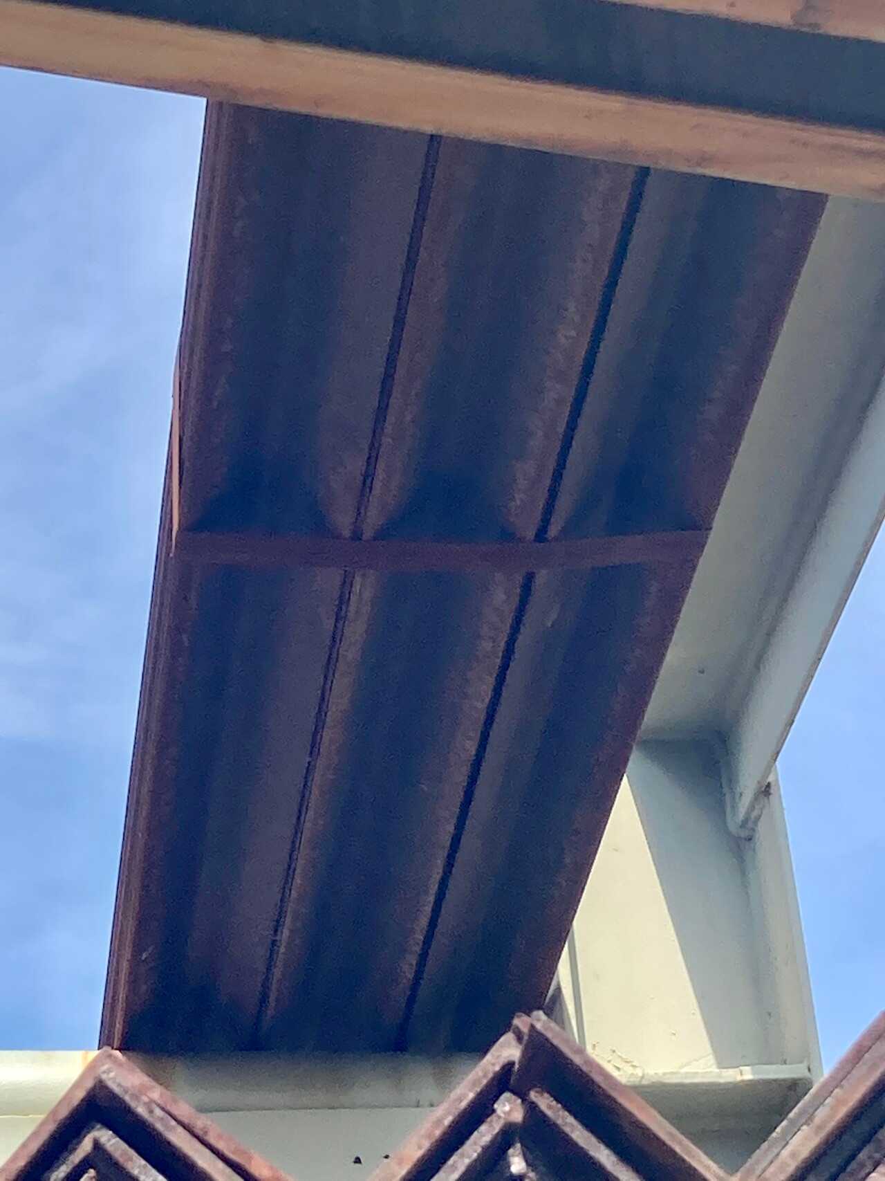 Steel Angle