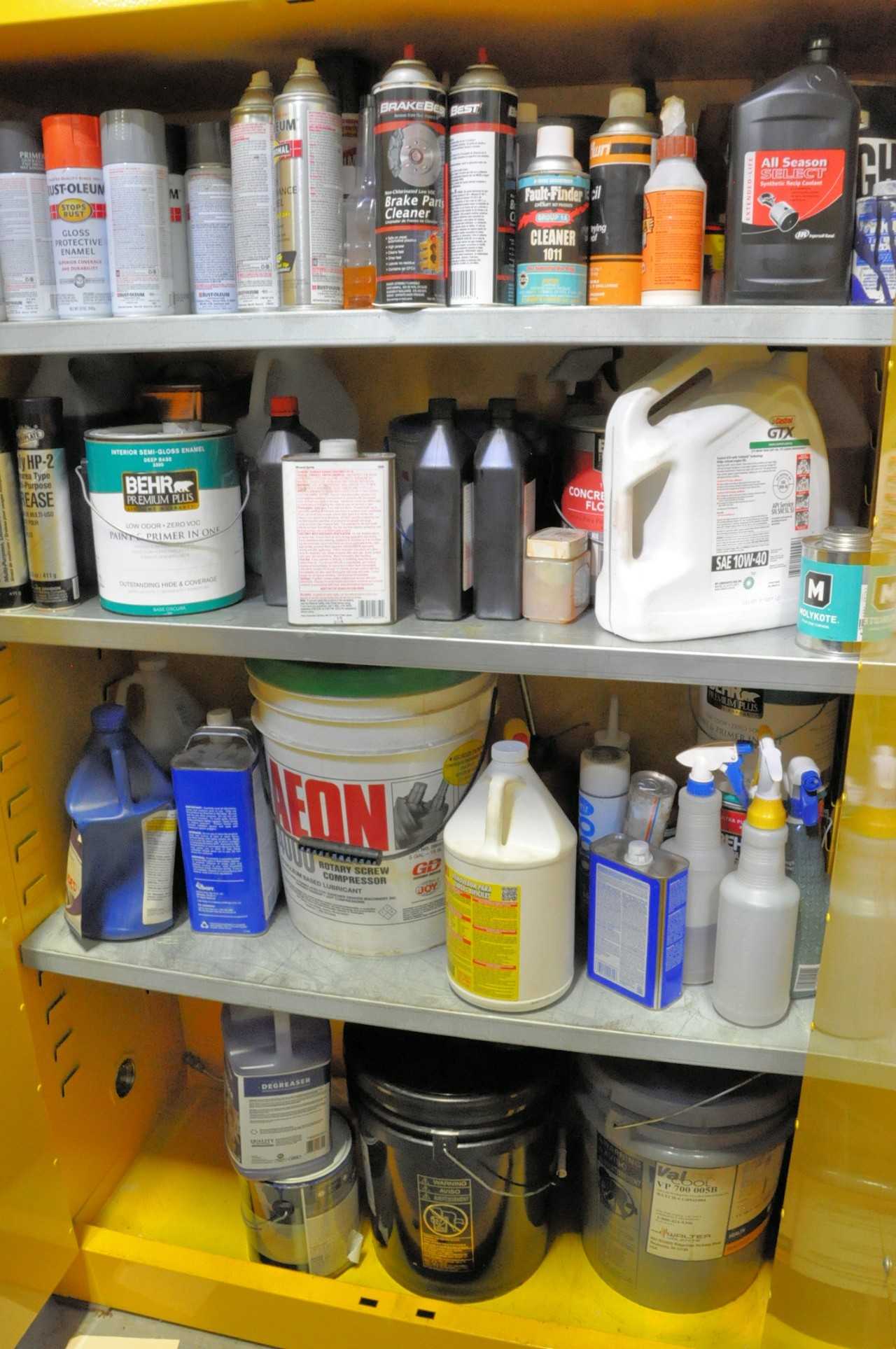 42" x 18" x 65" Safety Storage Cabinet with Contents - SAFETY EQUIPMENT