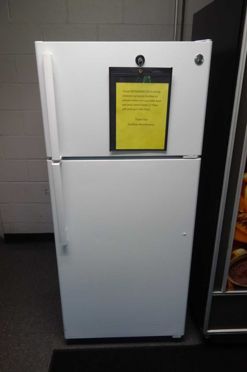 GE GTS16DTHMRWW 15.5 Cu. Ft. top-freezer refrigerator (DELAYED REMOVAL) - PROCESS EQUIPMENT