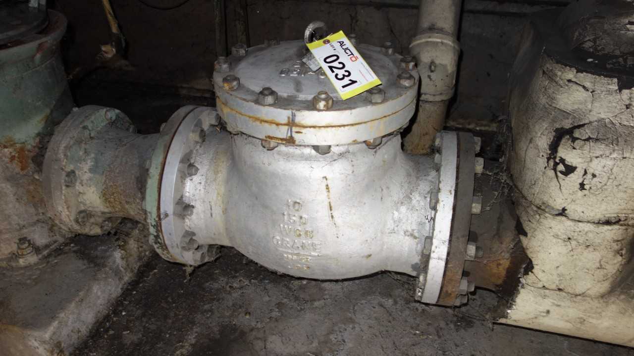 CRANE 147XU 10IN 150 STEEL CHECK VALVE - CHECK VALVE