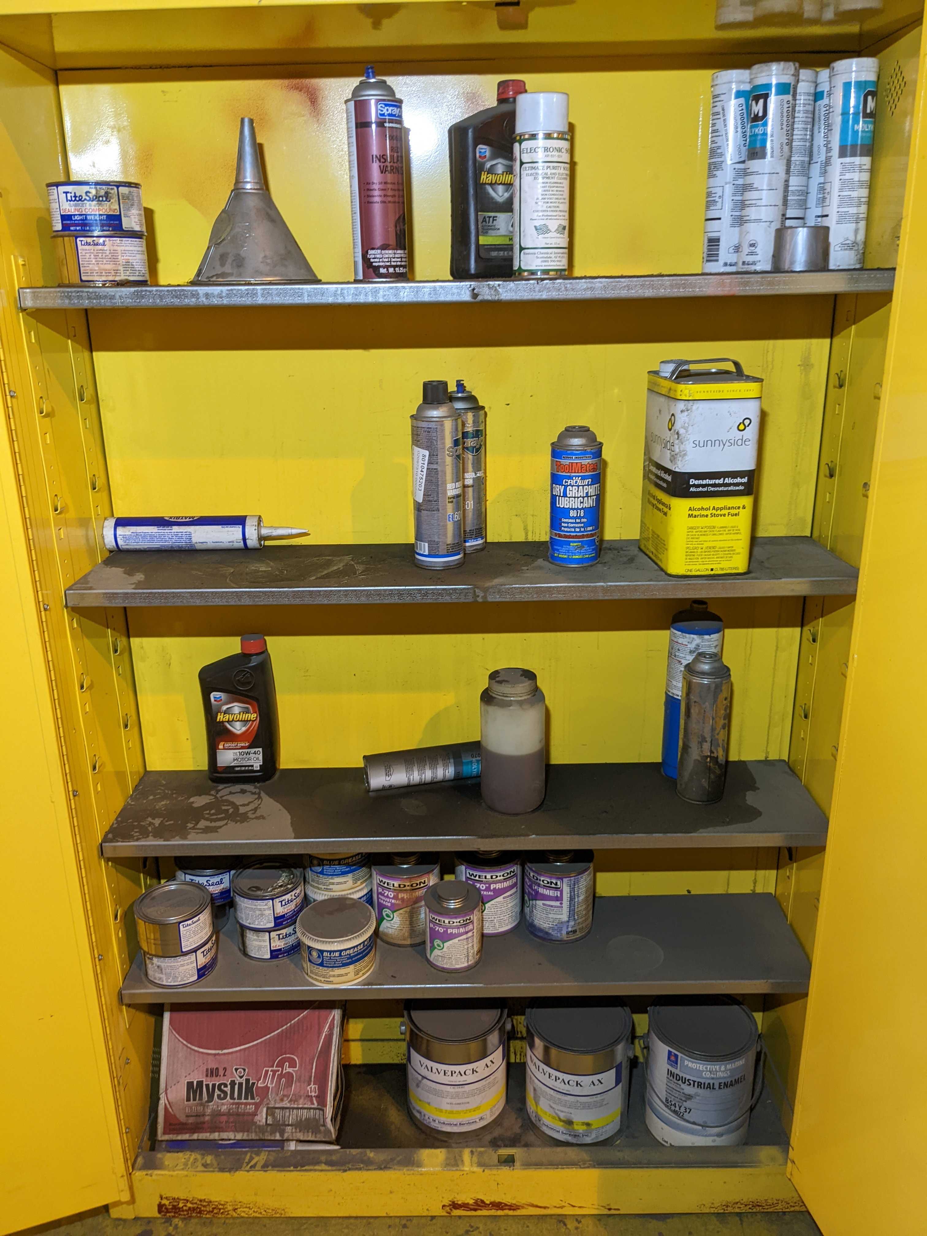 FIRE SAFETY CABINET WITH CONTENTS - SAFETY EQUIPMENT
