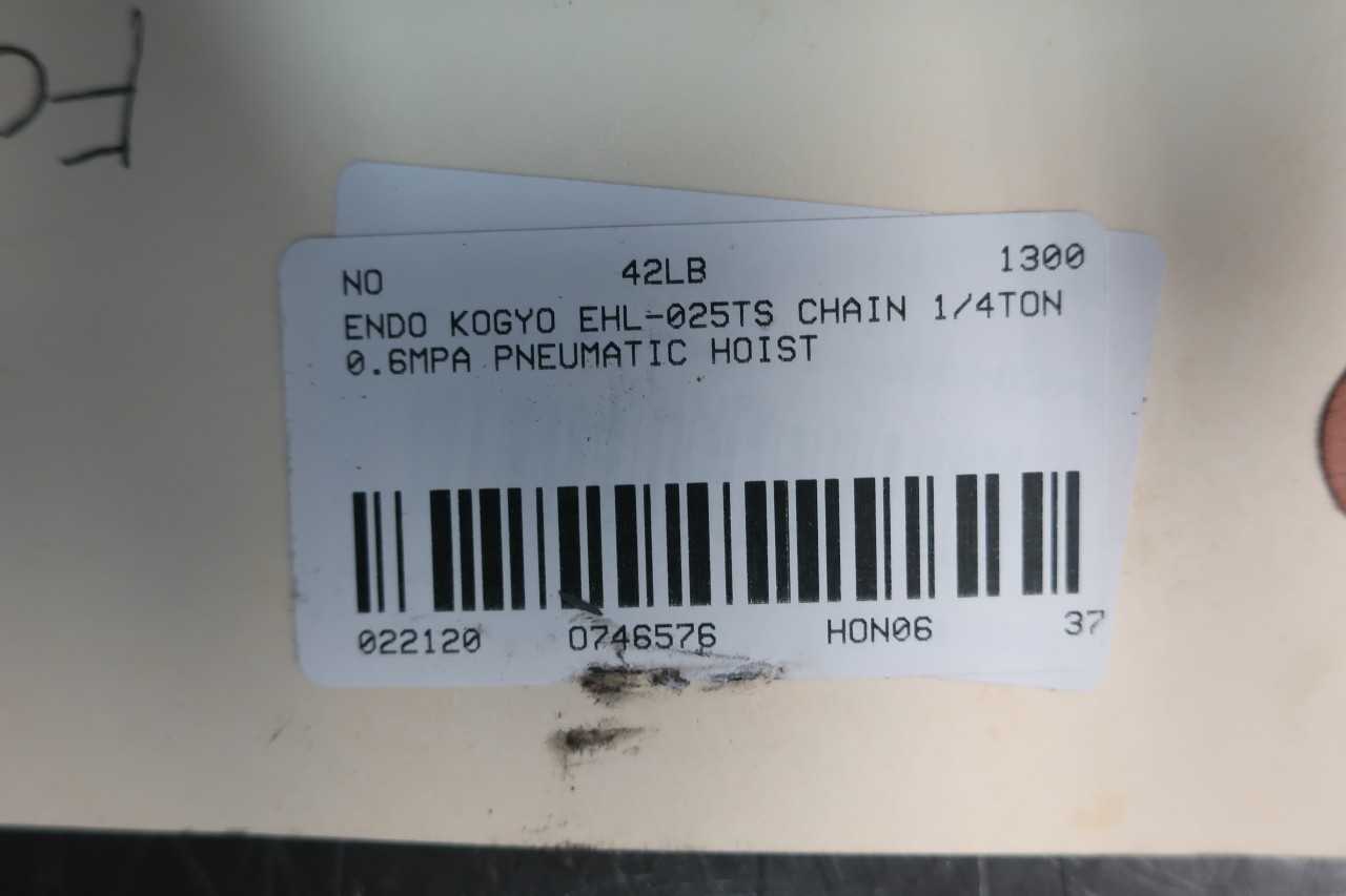 ENDO KOGYO EHL-025TS PNEUMATIC CHAIN HOIST 1/4TON - LIFTING EQUIPMENT