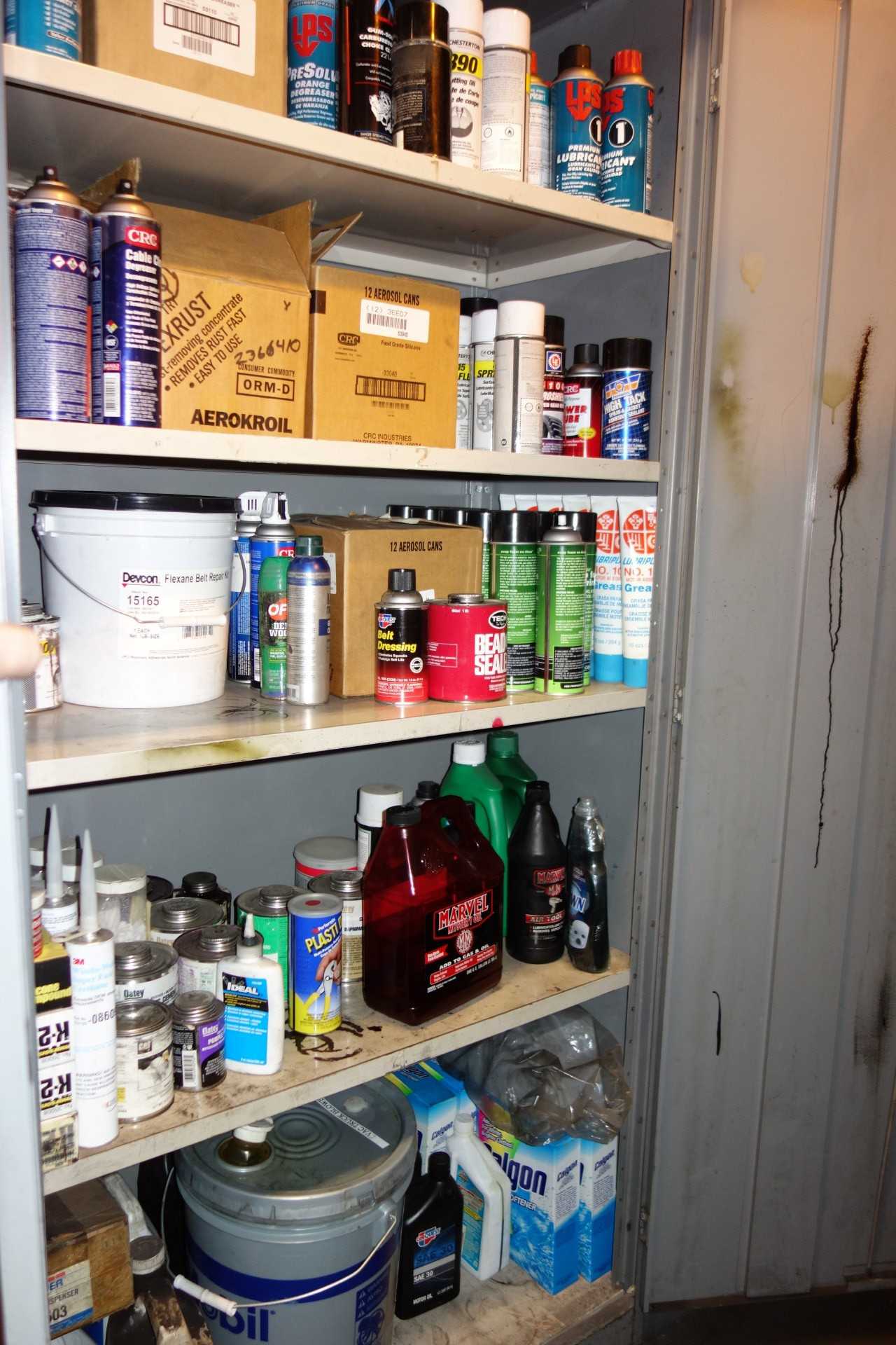 CONTENTS WITH CABINET, MAINTENANCE & CLEANING - TOOL STORAGE