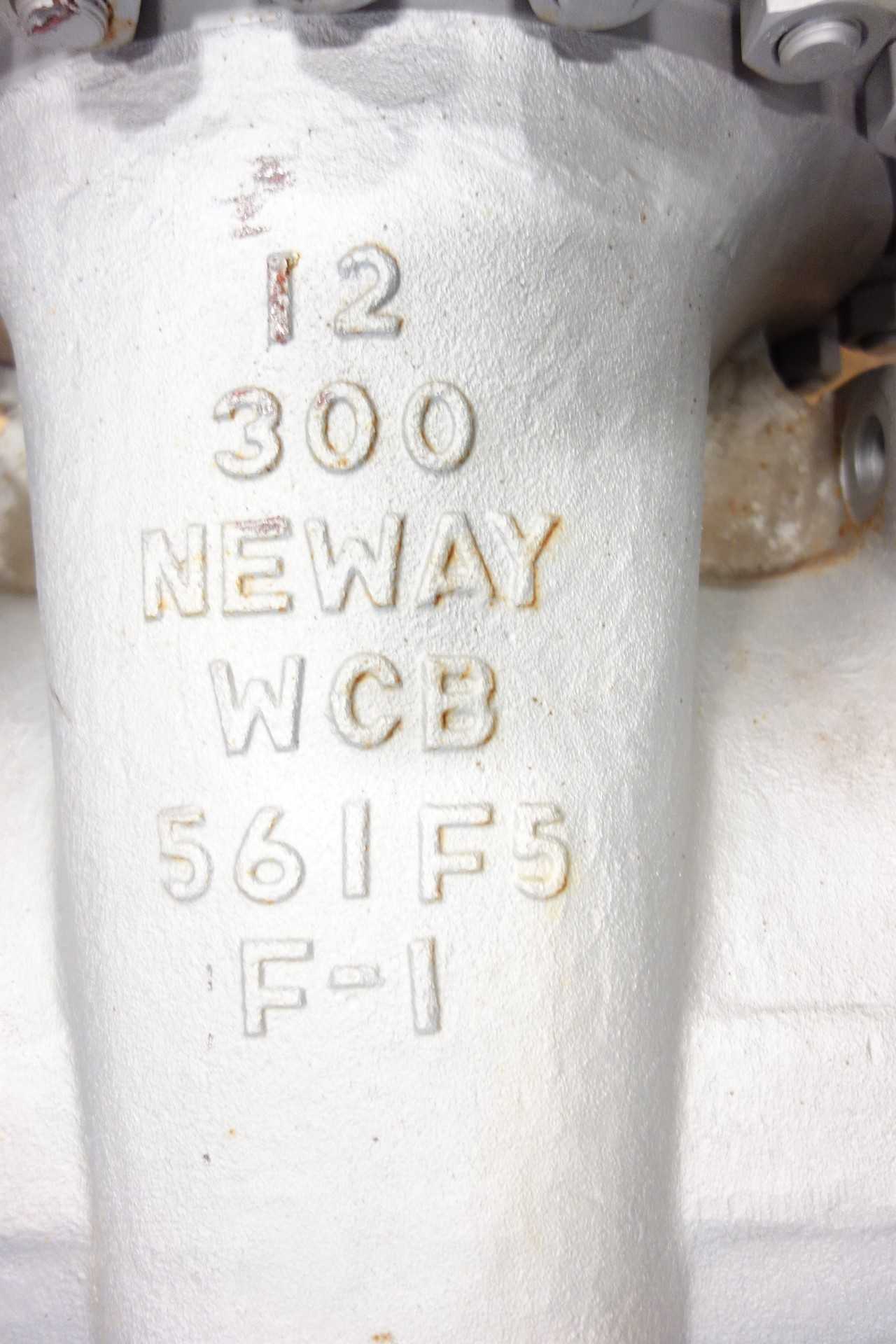 NEWAY 12 IN GATE VALVE - KNIFE GATE VALVE