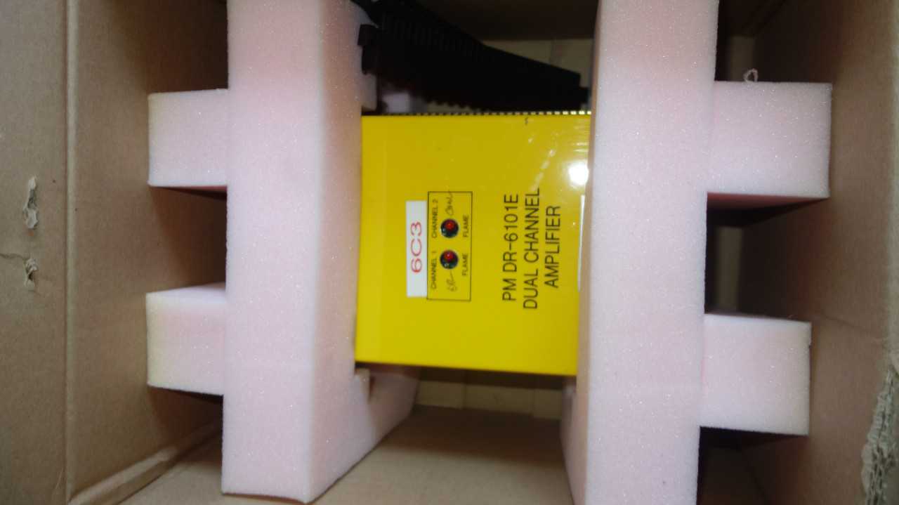 LOT OF 2 FORNEY IDD 9000 PM DR-6101E FLAME AMPLIFIERS - AUTOMATION & CONTROLS
