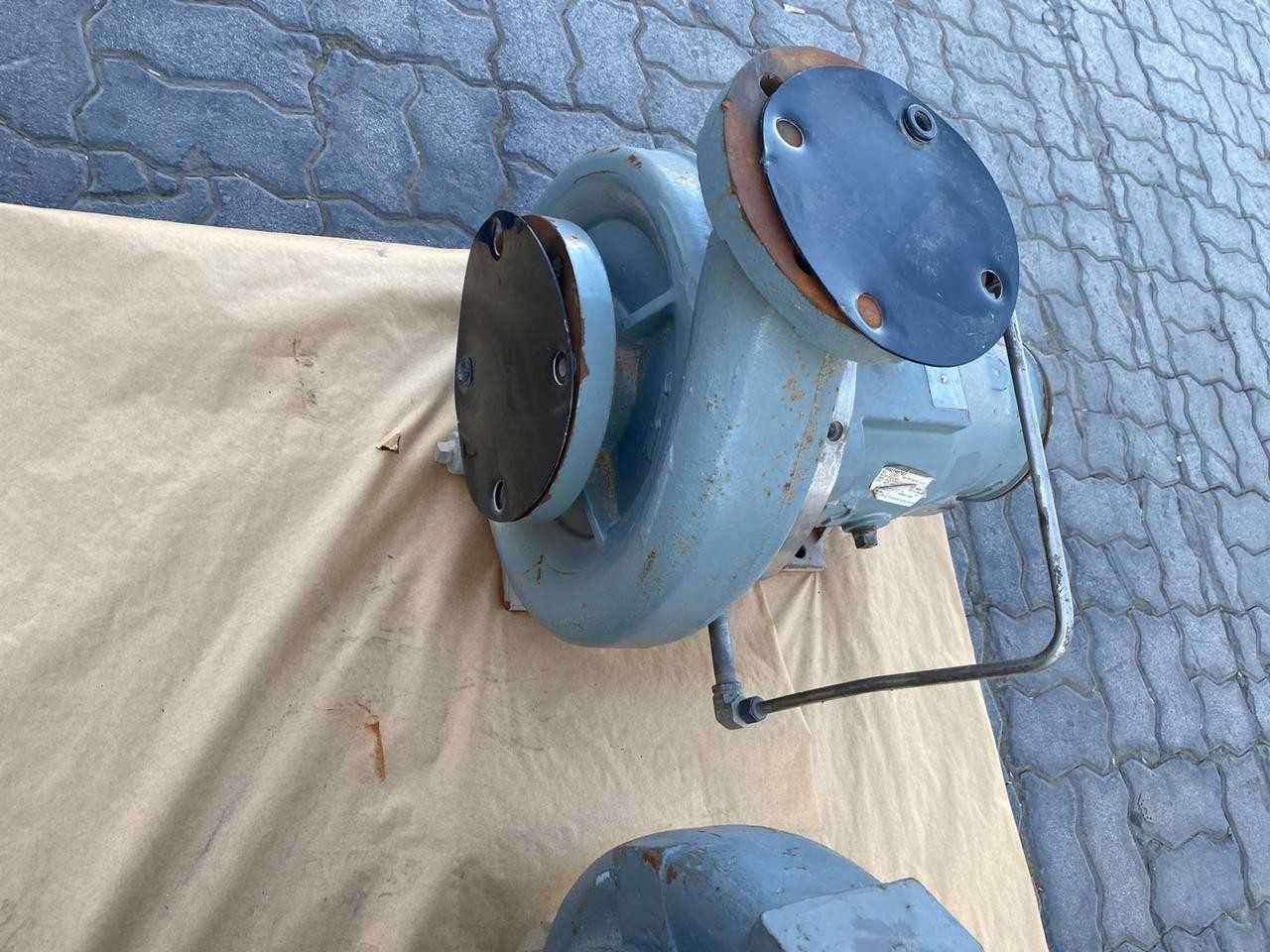 LOT OF 2 PUMPS - PUMPS