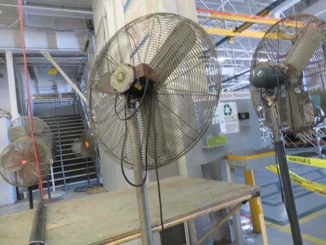 Fan - MISCELLANEOUS