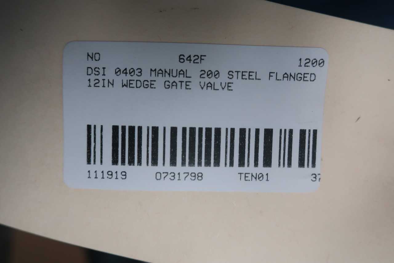 DSI 0403 MANUAL 200 STEEL FLANGED 12IN WEDGE GATE VALVE - VALVES