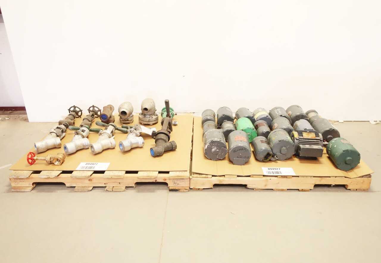 2 PALLETS OF ASSORTED VALVES AND ELECTRIC MOTORS - ELECTRIC MOTORS