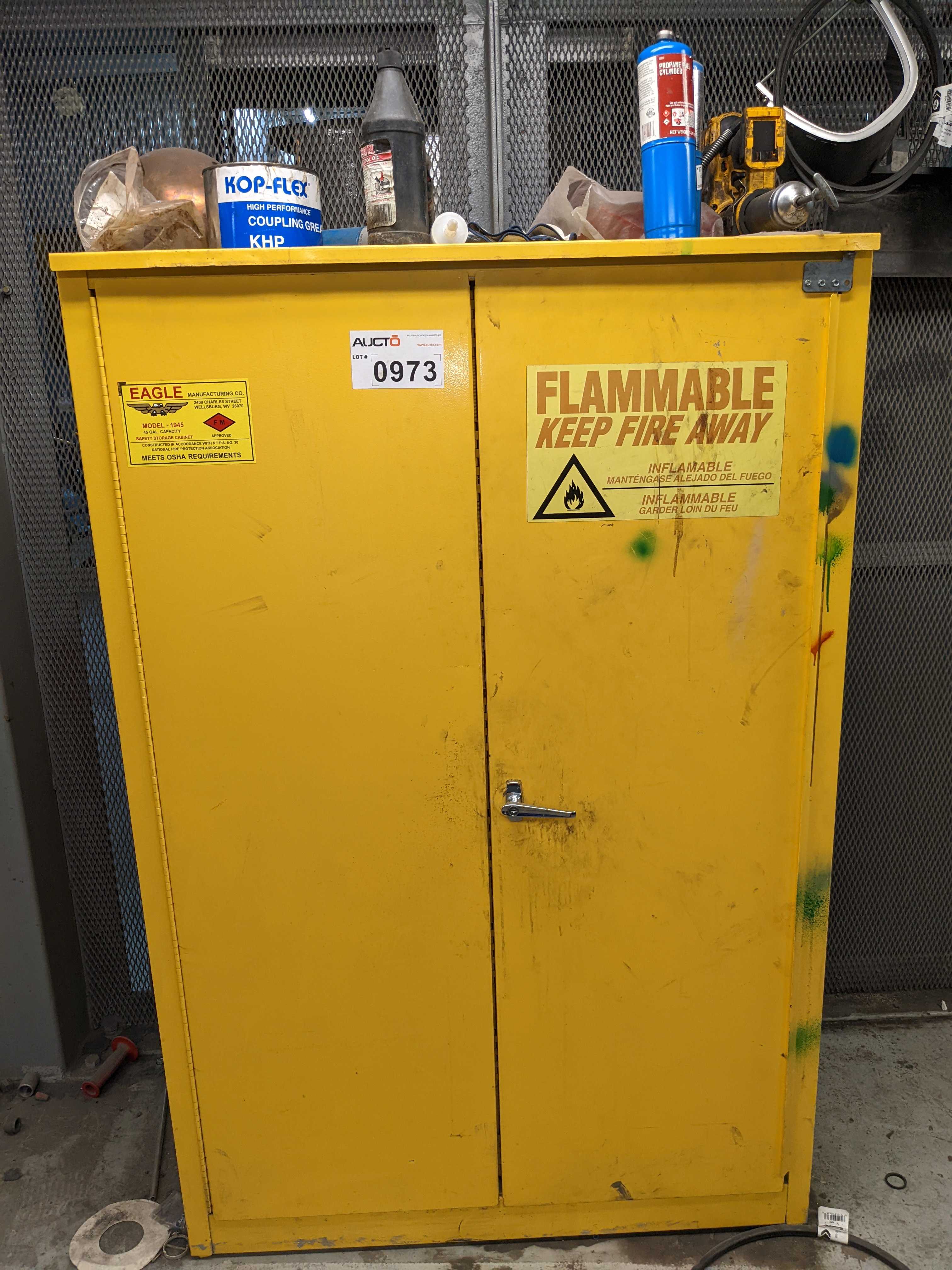 FIRE SAFETY CABINET WITH CONTENTS - SAFETY EQUIPMENT FIRE SAFETY CABINET WITH CONTENTS - SAFETY EQUIPMENT