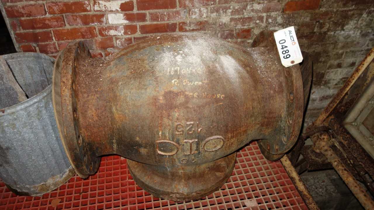 NEWCO OIC 16 Inch 125 IRON CHECK VALVE - CHECK VALVE
