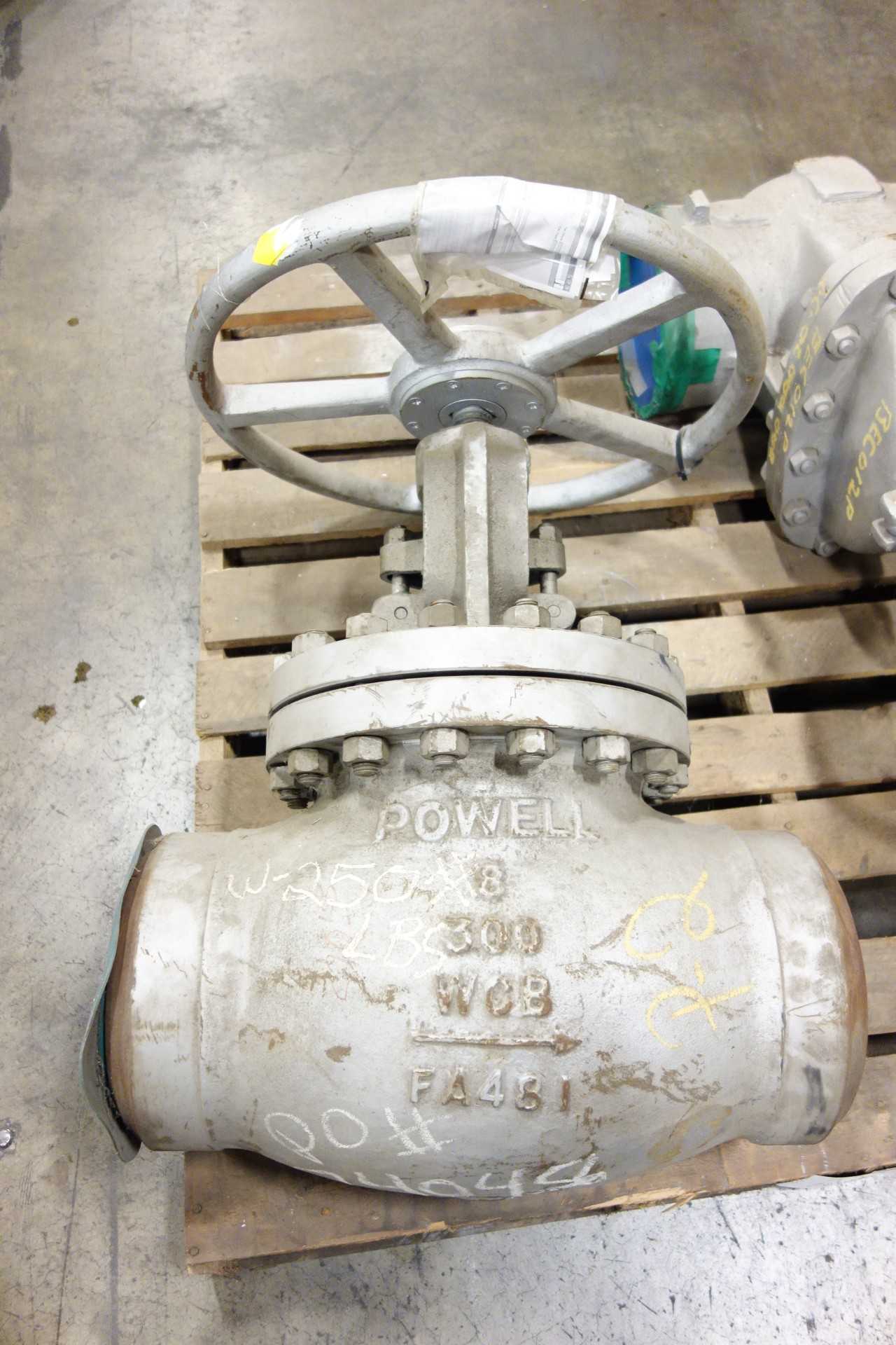 LOT OF ASSORTED WM POWELL GLOBE VALVES - GLOBE VALVE