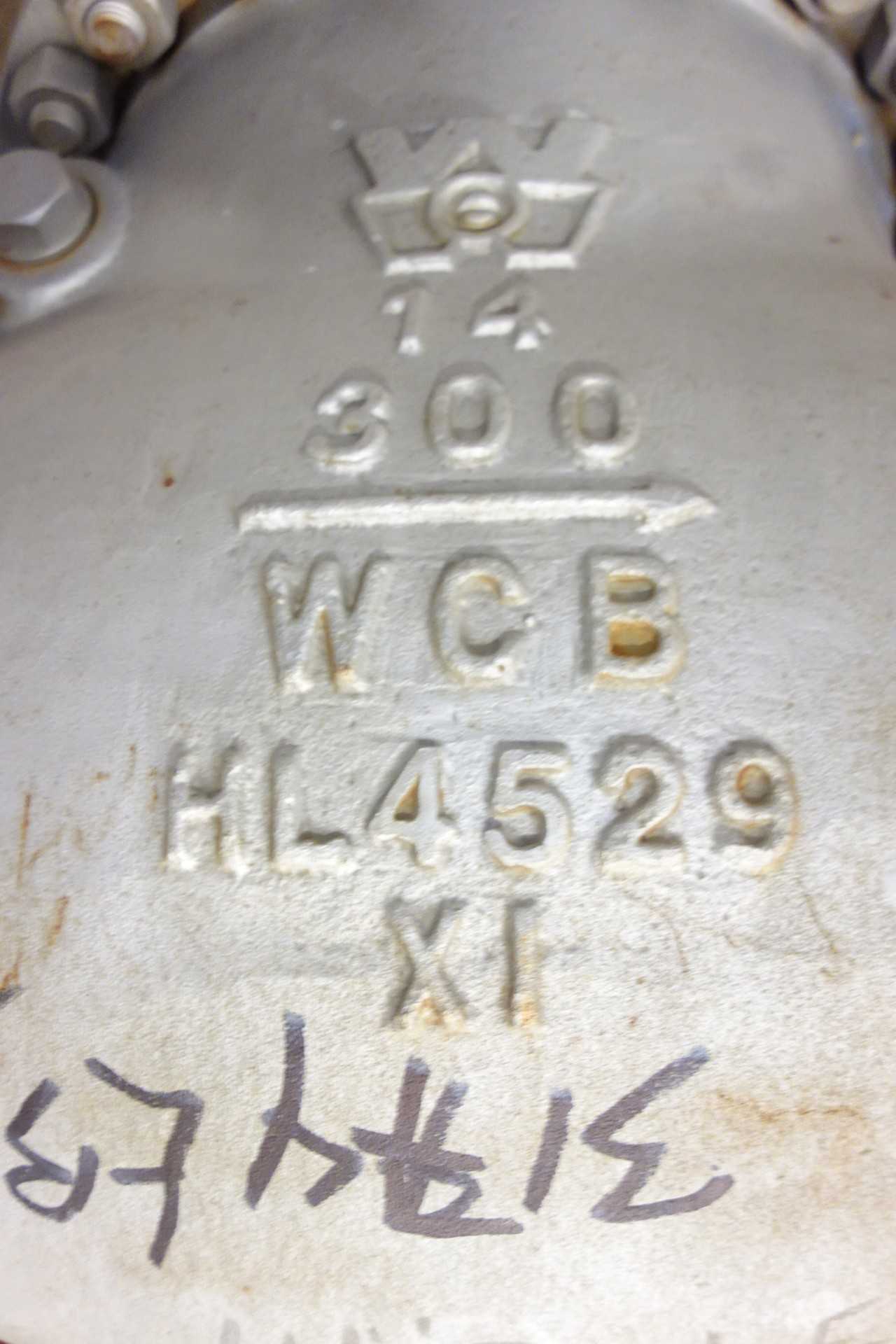 LOT OF 2 ASSORTED 14 IN FLANGED CHECK VALVES - CHECK VALVE
