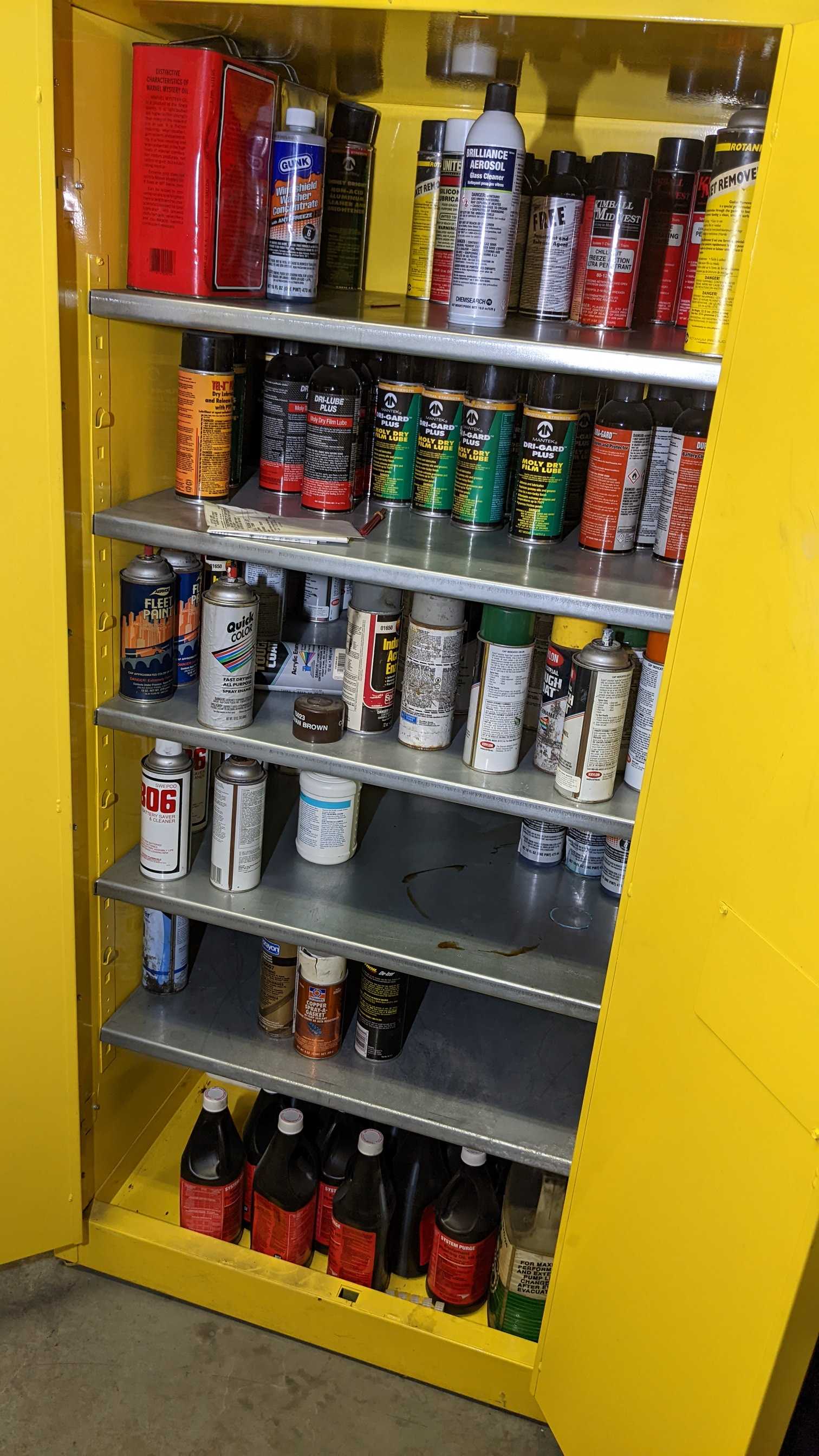 CABINET WITH CONTENTS - TOOL STORAGE