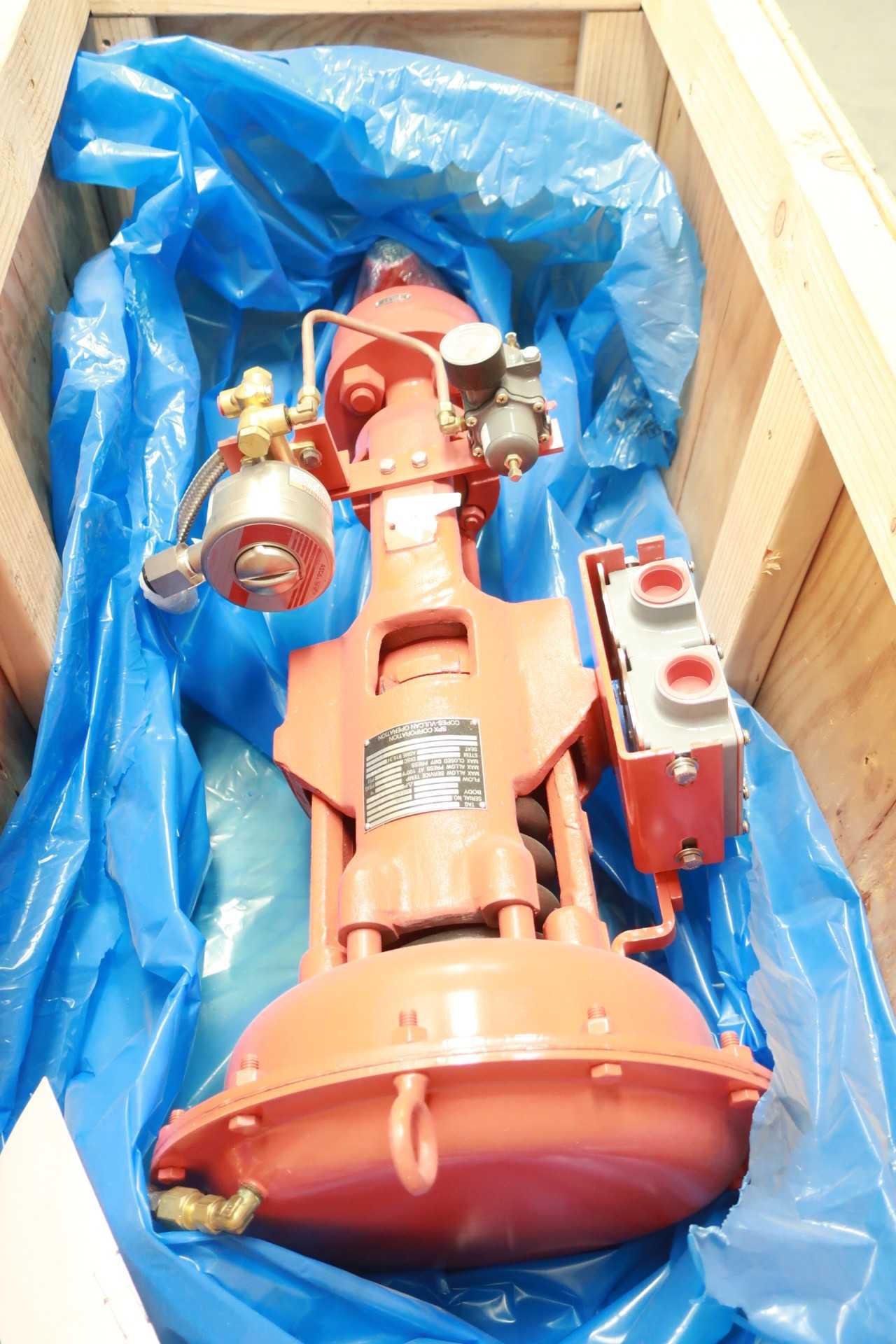 COPES VULCAN 900 PNEUMATIC STEEL SOCKET WELD 1IN CONTROL VALVE - CONTROL VALVE