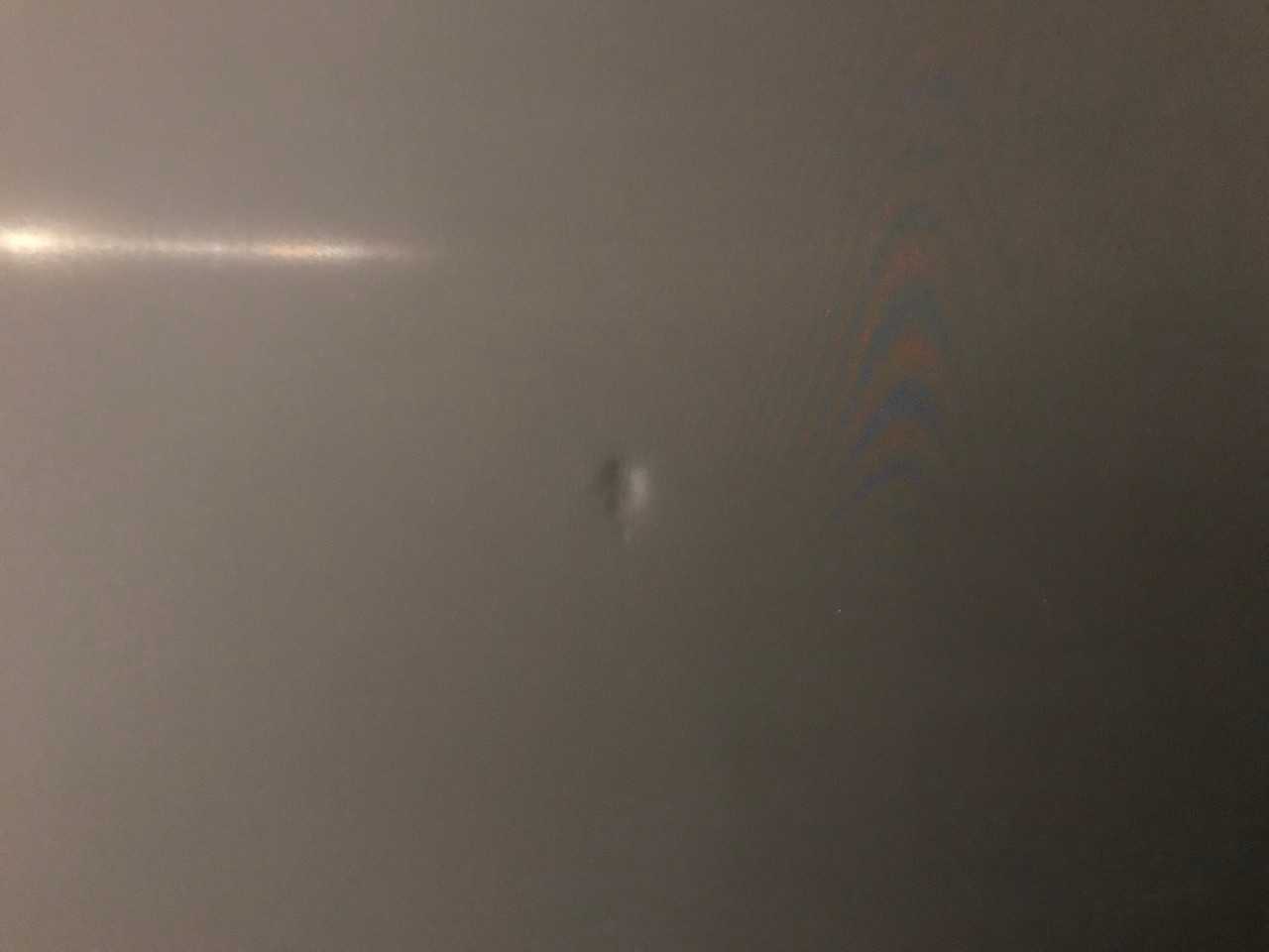 Large Projection Screen - MISCELLANEOUS
