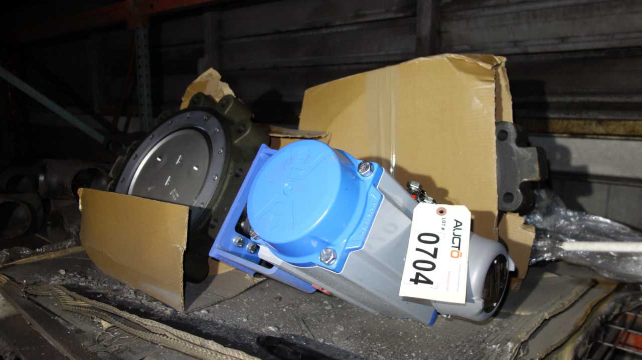 LOT OF 2 NELES JAMESBURY 815L 12IN BUTTERFLY VALVES - VALVES