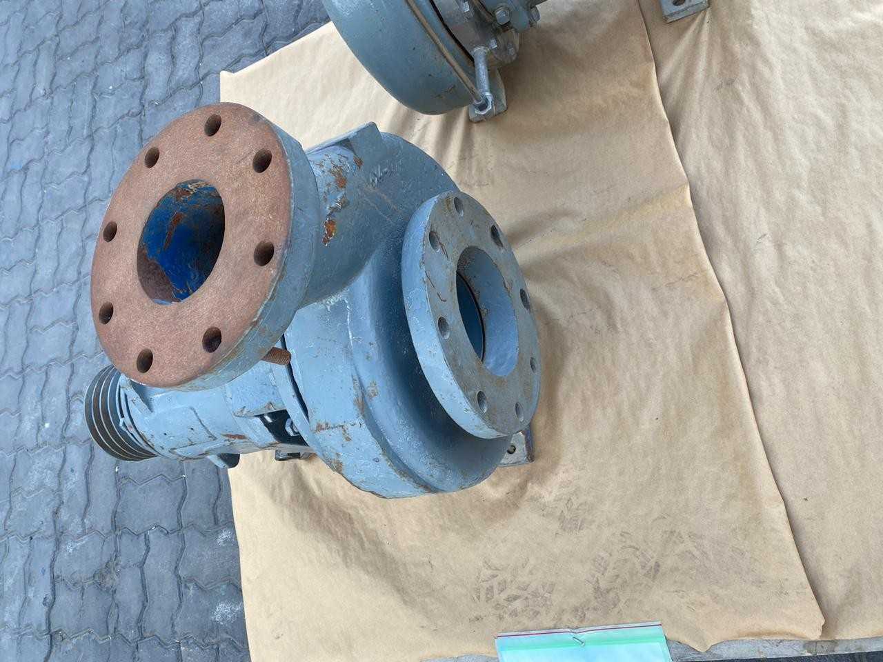 LOT OF 2 PUMPS - PUMPS