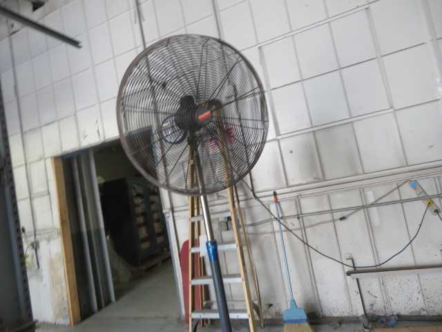 Fan - MISCELLANEOUS