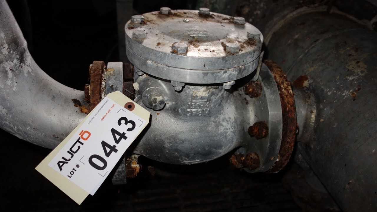 WORTHINGTON STAINLESS 4IN 150 CHECK VALVE - CHECK VALVE