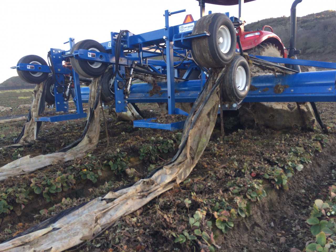 Andros 3 Row Mulch Film Extractor - CONSTRUCTION EQUIPMENT