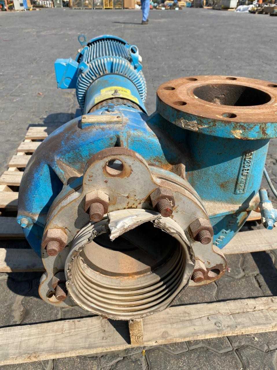 LOT OF 1 PACO SMART PUMP WITH MOTOR - ELECTRIC MOTORS