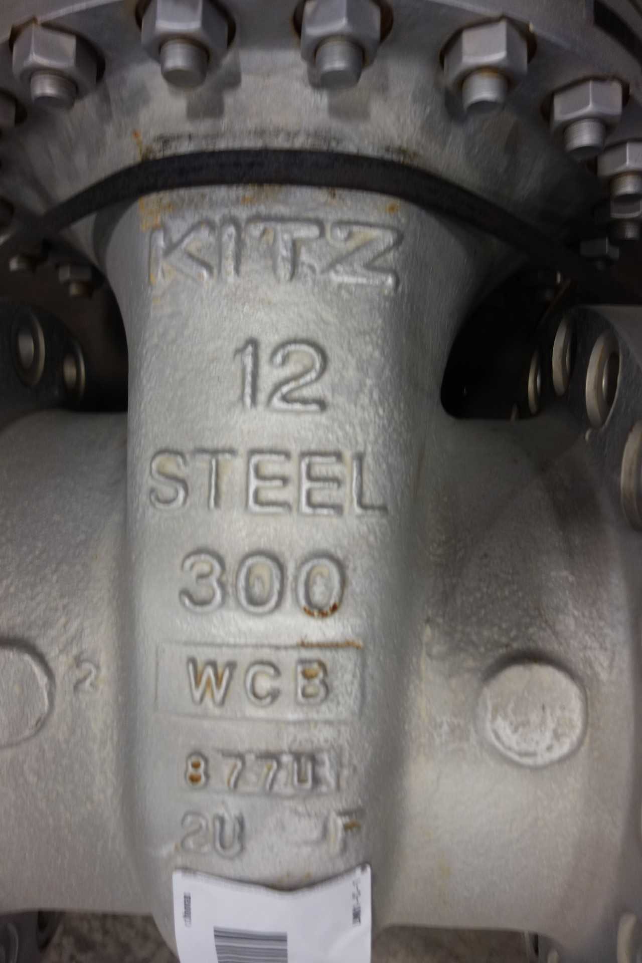 KITZ STEEL GATE VALVE - VALVES