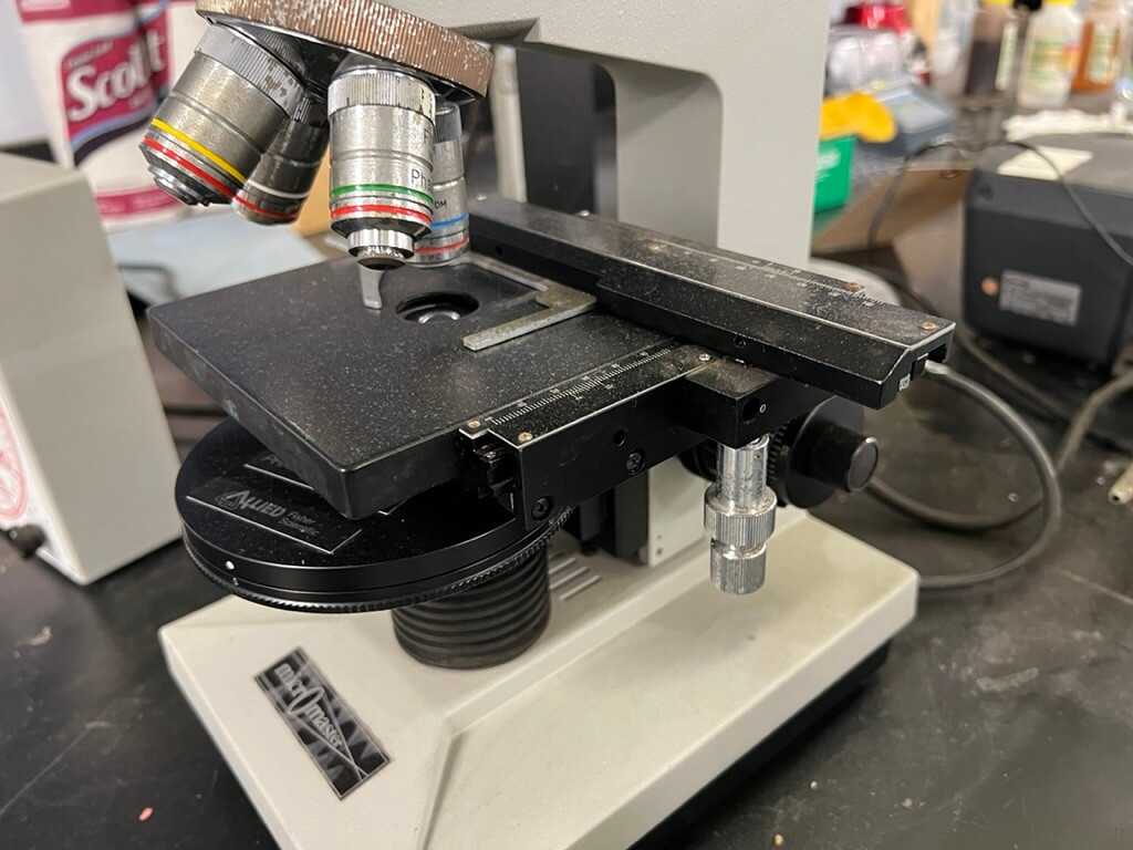 Fisher Scientific Micromaster CK compound microscope - LAB & SCIENTIFIC