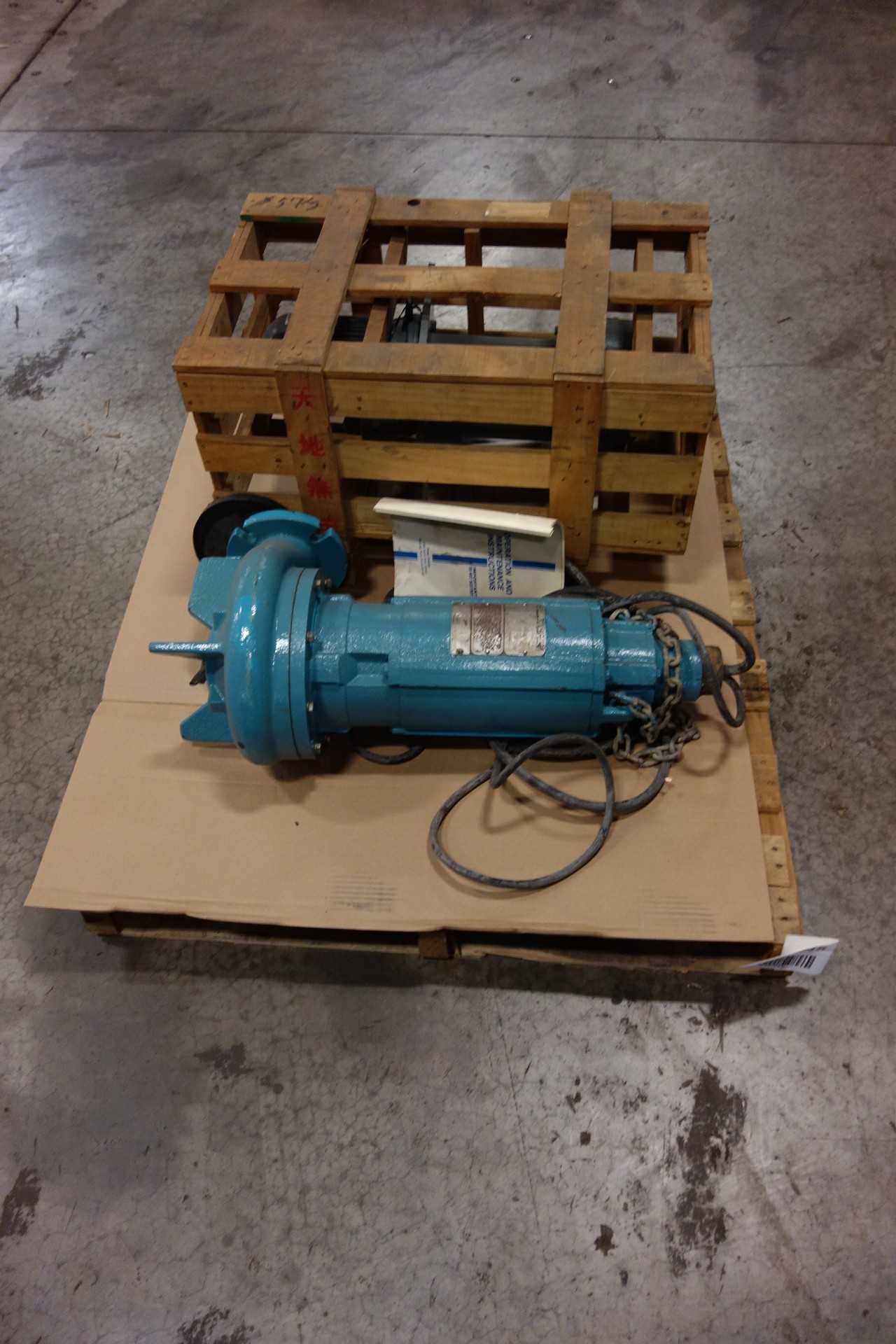 LOT OF 2 ASSORTED PUMPS - PUMPS