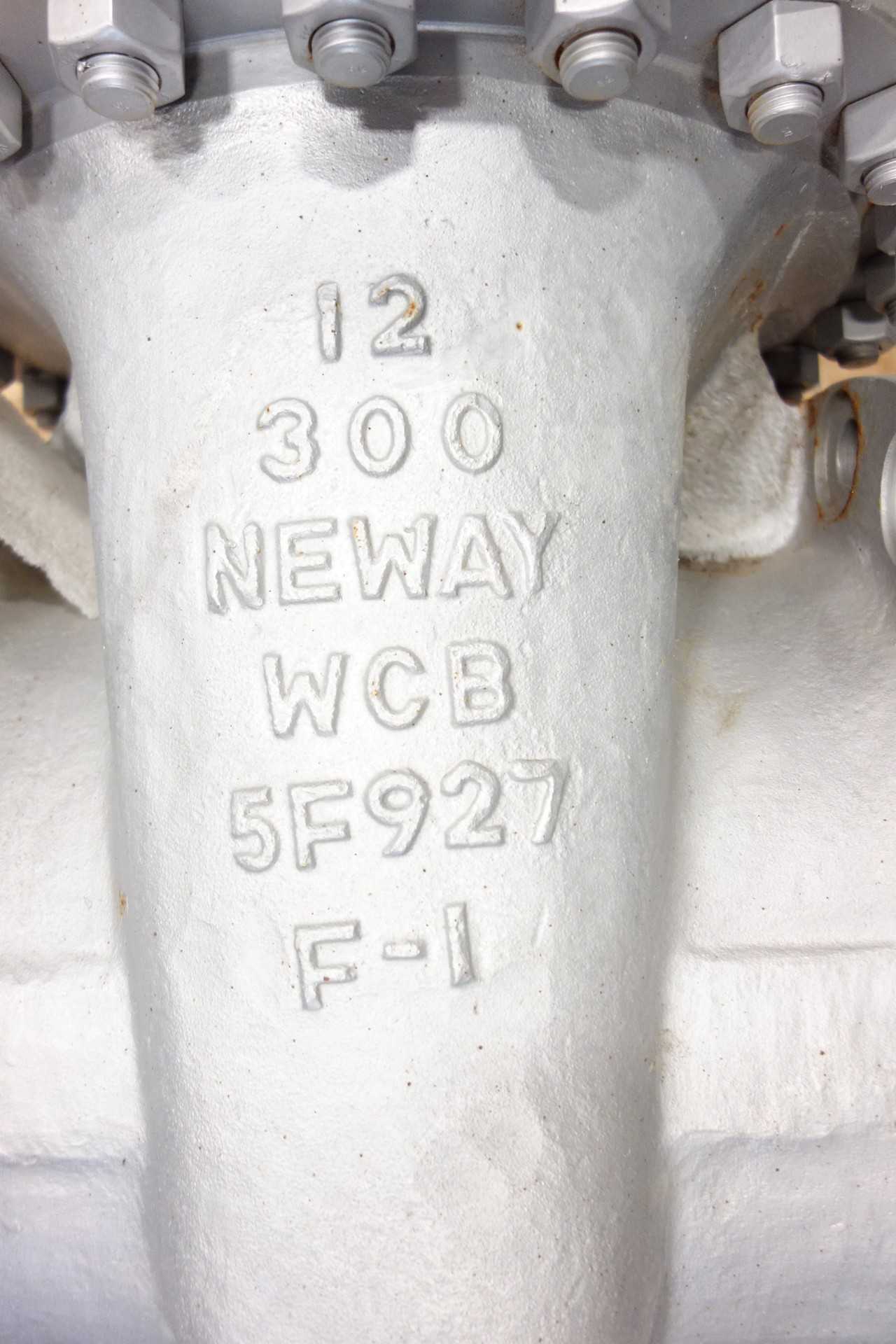 NEWAY 12 IN GATE VALVE - KNIFE GATE VALVE