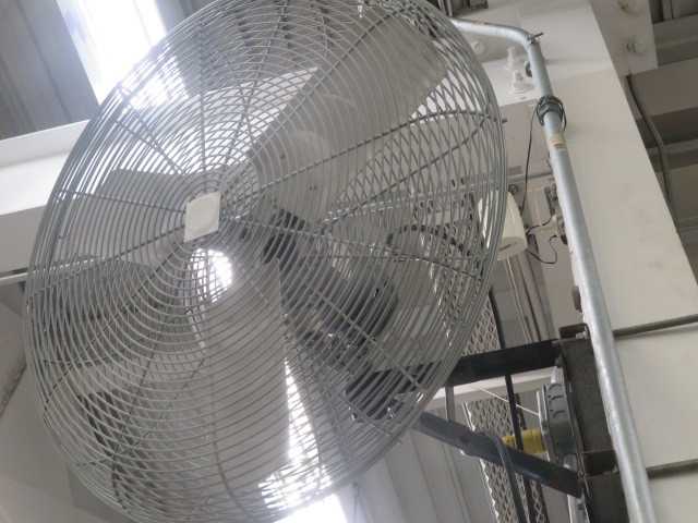 Fan - MISCELLANEOUS