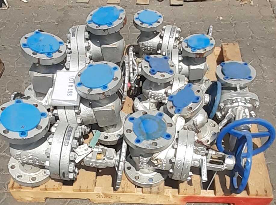 Lot of 12 Gate valves & Check Valves - CHECK VALVE