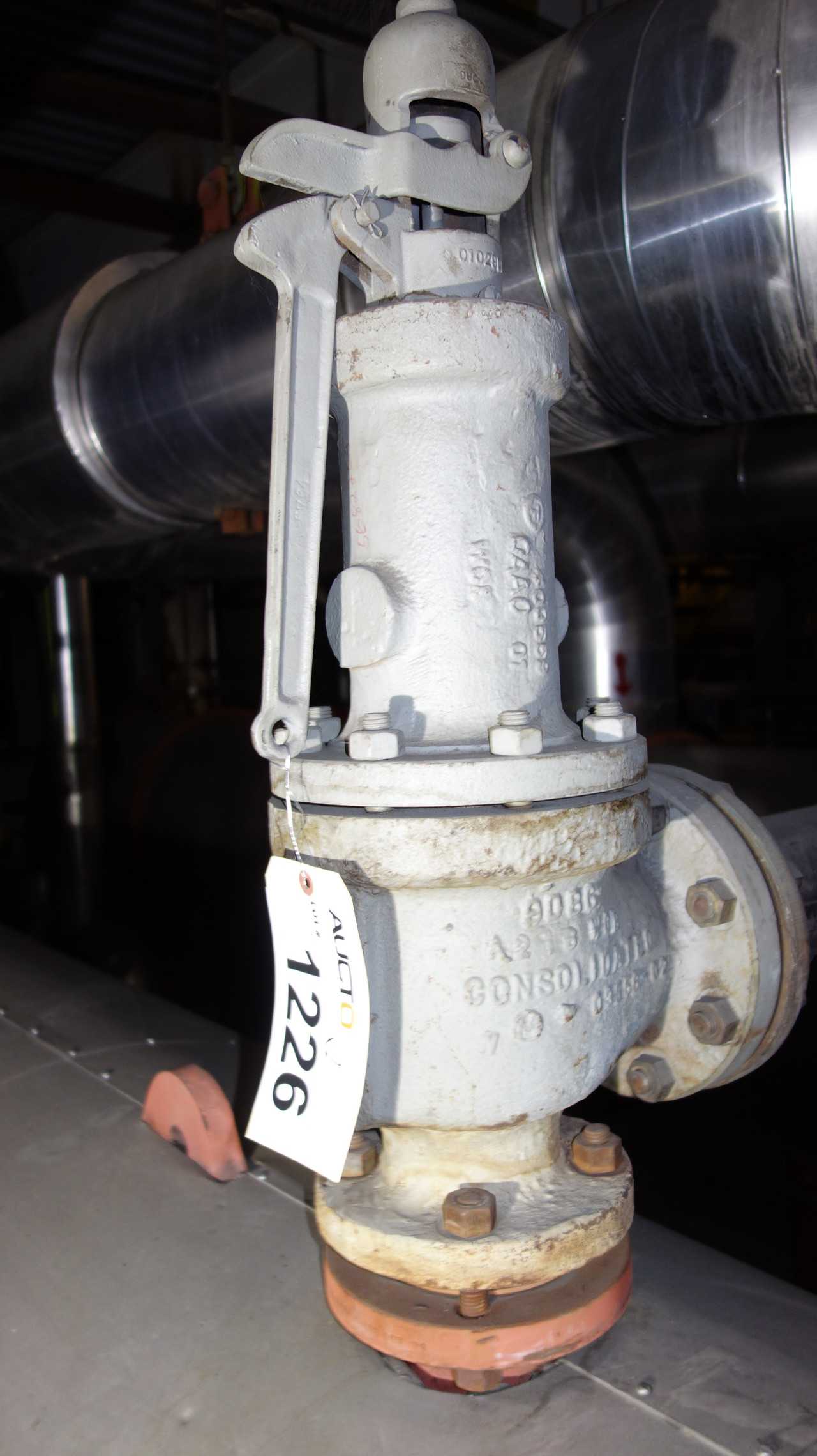 LOT OF 2 CONSOLIDATED RELIEF VALVES 3IN - RELIEF VALVE