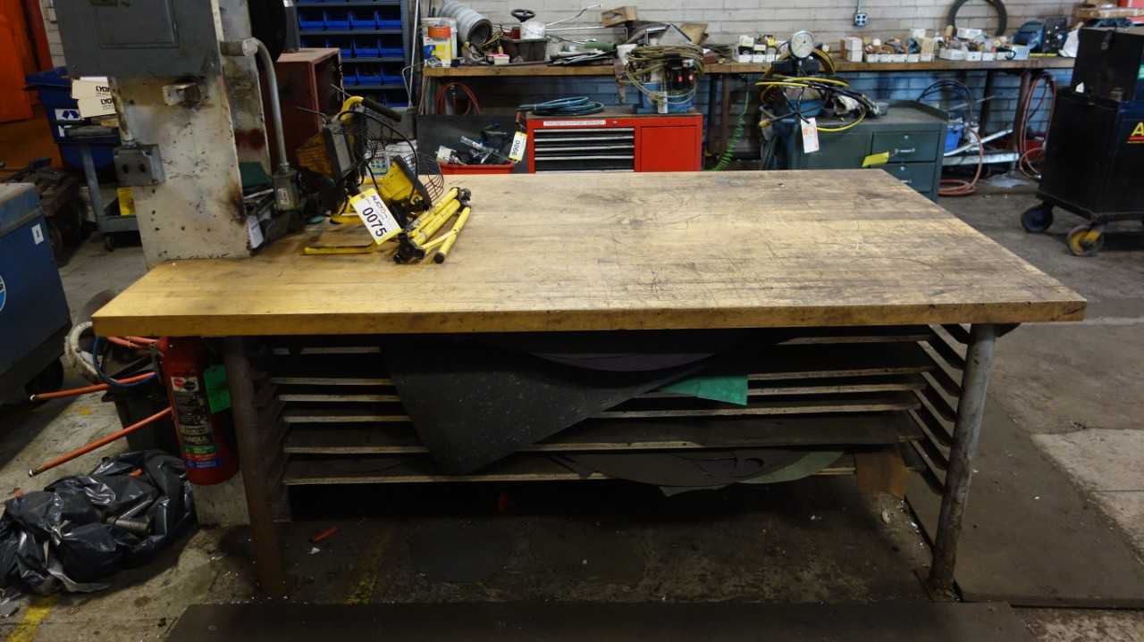 PROFESSIONAL TOOL WORK TABLE W/ CONTENTS - TOOL STORAGE