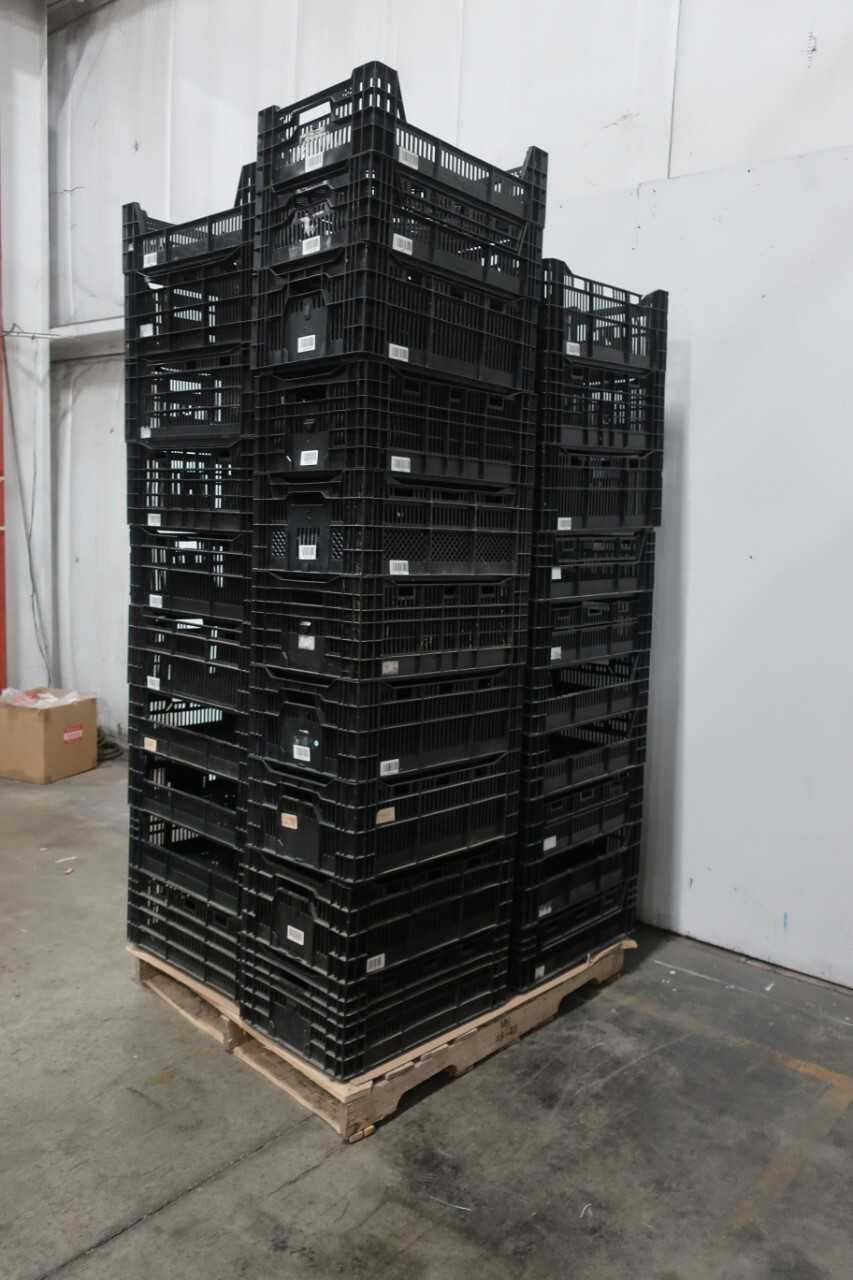 24 PALLETS OF STORAGE TOTES, APPX. 1000 TOTES - MATERIAL HANDLING