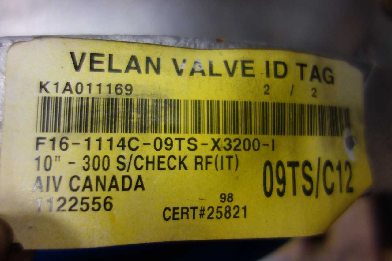 LOT OF 2 ASSORTED FLANGED CHECK VALVES - CHECK VALVE