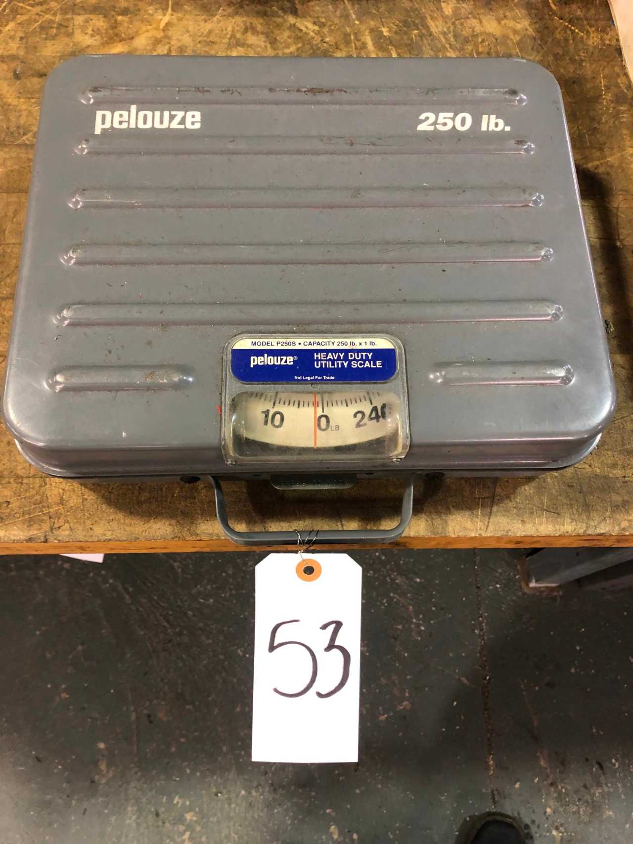 Pelouze 250 Lbs Capacity Scale - SCALES