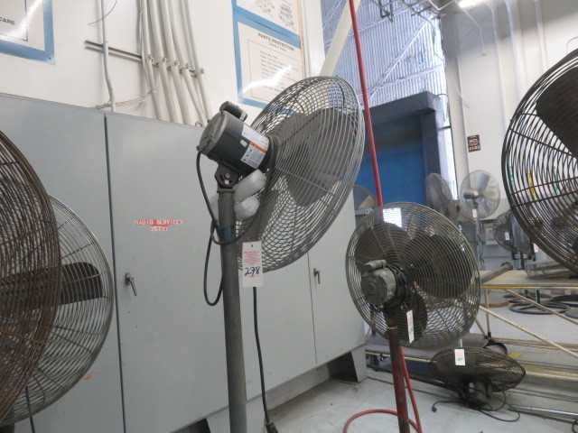 Fan - MISCELLANEOUS
