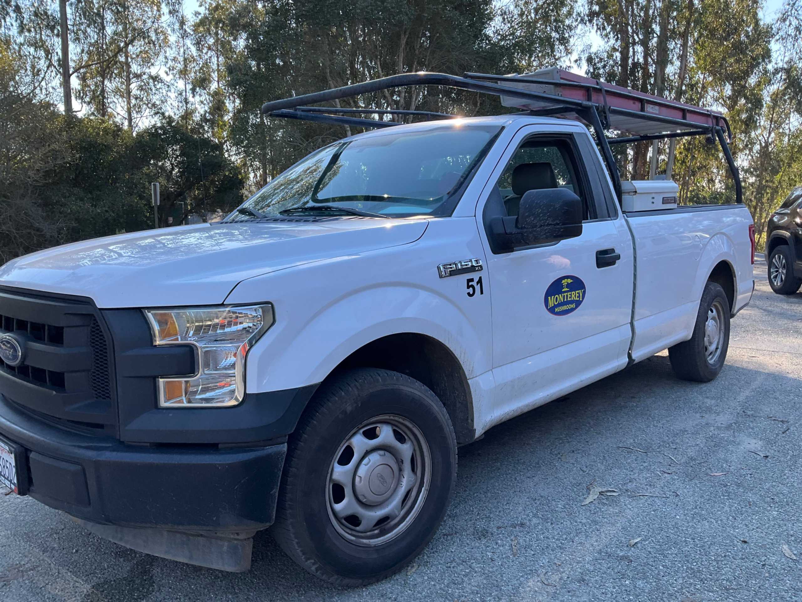 2016 FORD F-150 PICKUP TRUCK