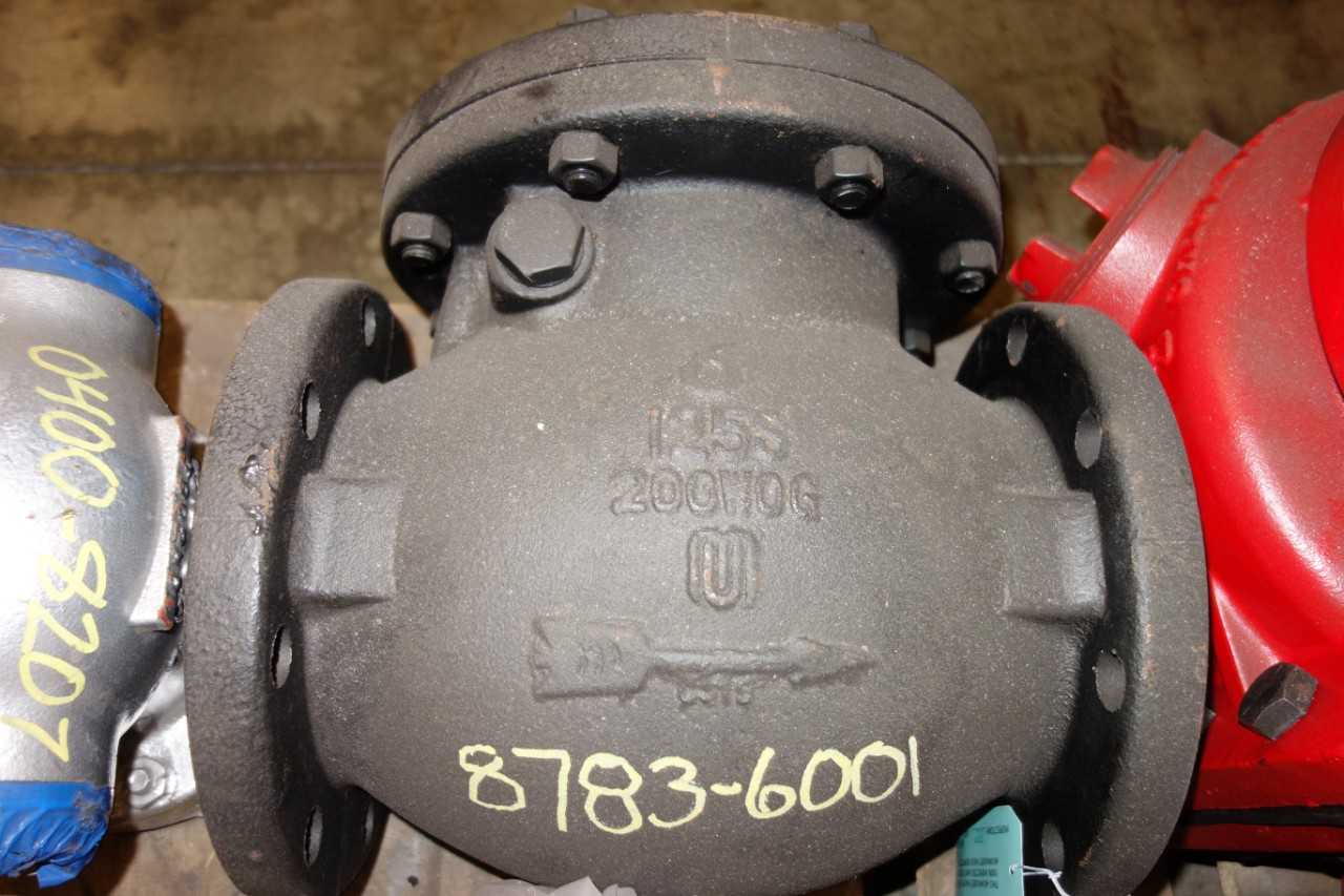 LOT OF ASSORTED CHECK VALVES - CHECK VALVE