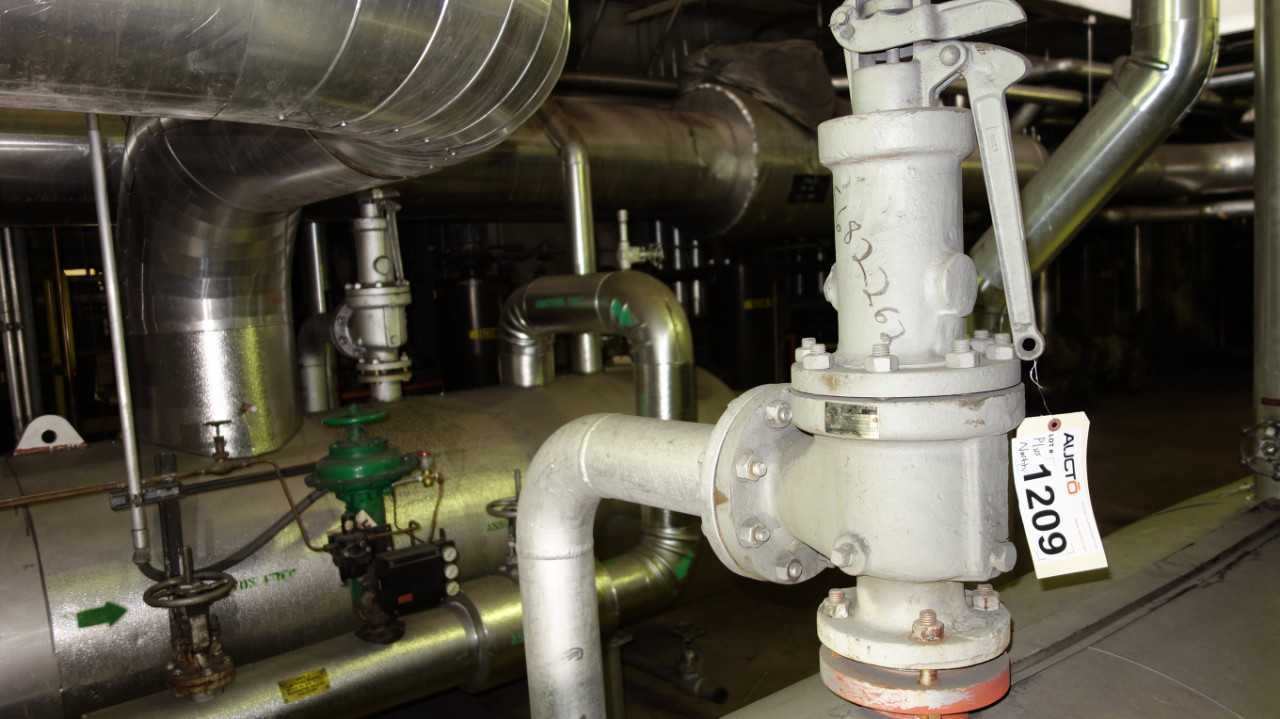 LOT OF 2 CONSOLIDATED RELIEF VALVES 3IN - RELIEF VALVE