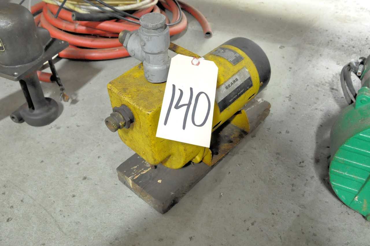 Sears Pump - PUMPS