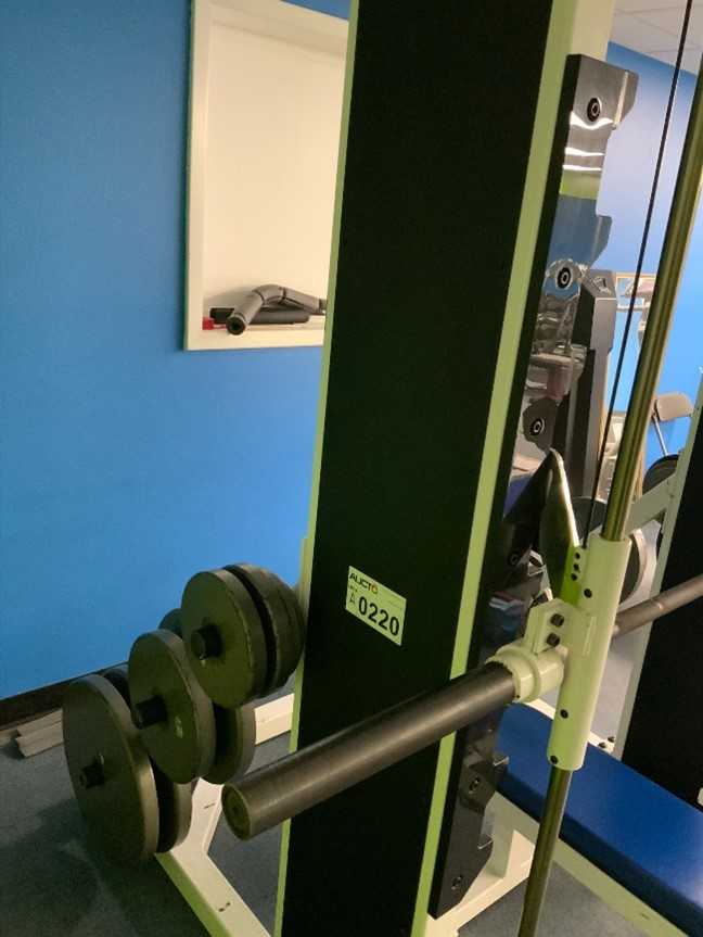 Quantum Weight Set with Bench - INSTRUMENTATION