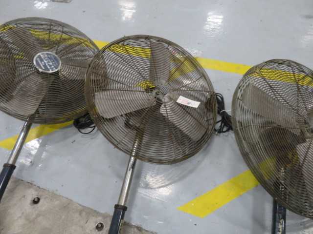 Fan - MISCELLANEOUS