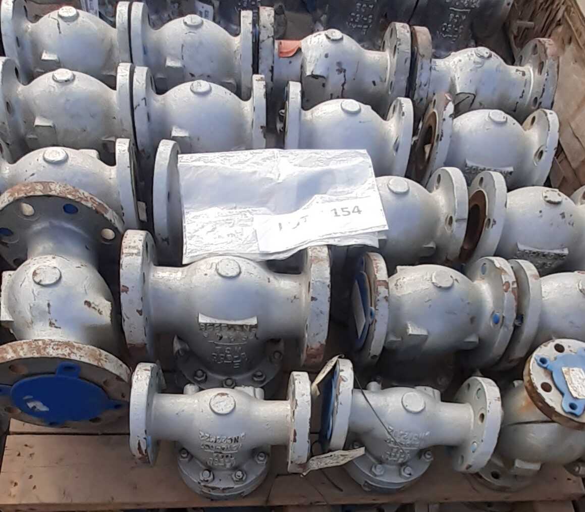 Lot of 19 Check Valves - CHECK VALVE