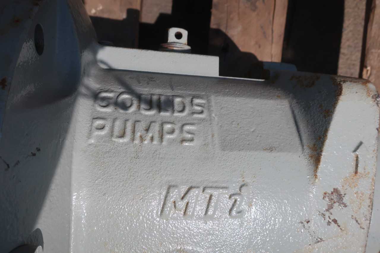 GOULDS MTI PUMP - PUMPS